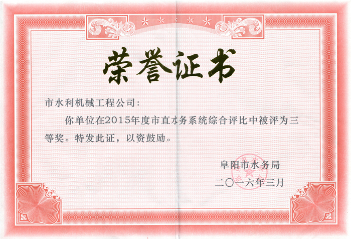 三等獎(jiǎng)榮譽(yù)證書